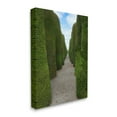 thumbnail image 3 of Stupell Industries Topiary Trees Hedge Pathway Landscape Photography Gallery Wrapped Canvas Print Wall Art, 3 of 5