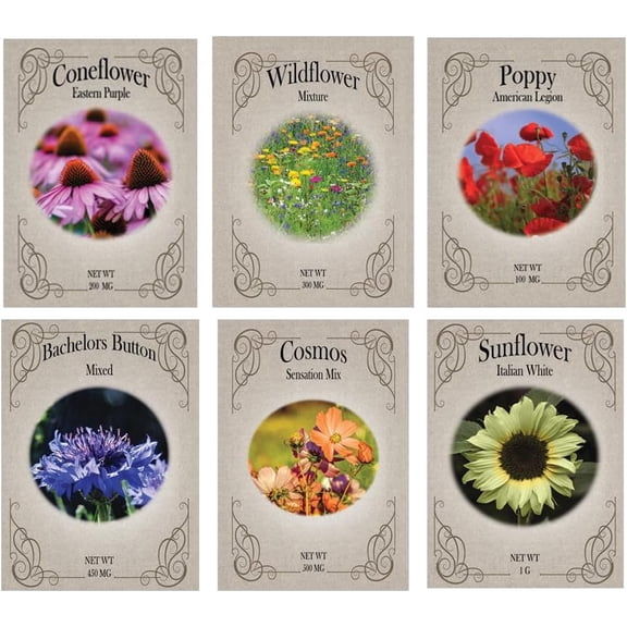 Meadow Flower Seed Variety Pack – 12 Seed Packets | Coneflower, Wildflower Mix, Poppy, Cosmos, Bachelor Button & Sunflower | Pollinator-Friendly Garden Seeds