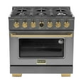 thumbnail image 4 of 36 in. 5.2 cu. ft. Dual Fuel Range for Natural Gas in Dark Stainless Steel., 4 of 20