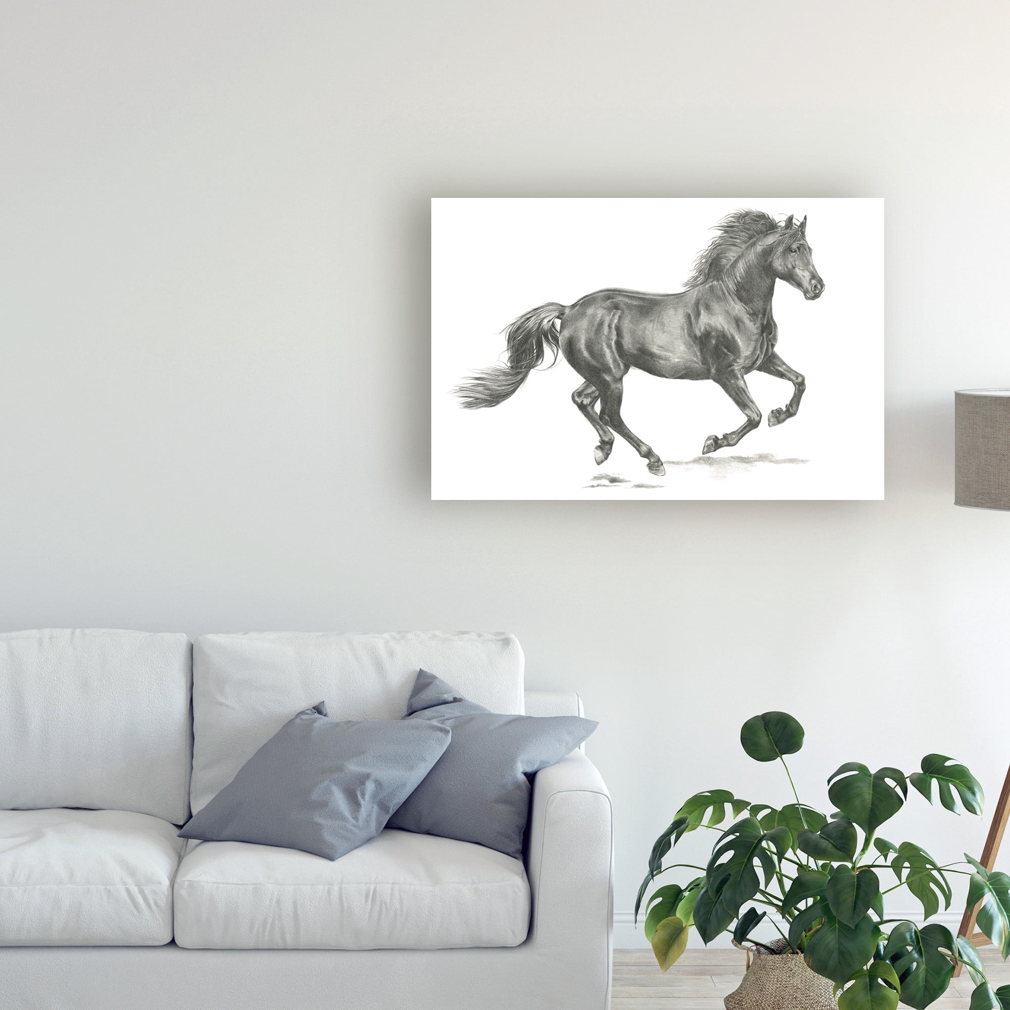 Trademark Fine Art 'Wild Horse Portrait II' Canvas Art by Jennifer Paxton Parker