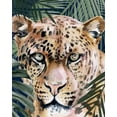 thumbnail image 2 of Parker, Jennifer Paxton 12x14 White Modern Wood Framed Museum Art Print Titled - Jungle Cat II, 2 of 4