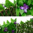 thumbnail image 2 of Lieonvis Artificial Ivy Privacy Fence Screen,Decorative Fence Privacy Screen Greenery Faux Plant Tree Wall for Indoor or Outdoor Garden Decor(16*79inch), 2 of 8