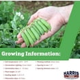 thumbnail image 2 of Harris Seeds - Treated Pea Seeds Frosty Non-GMO Fast Germination Dark Green Pods 0.5 Lbs, 2 of 7