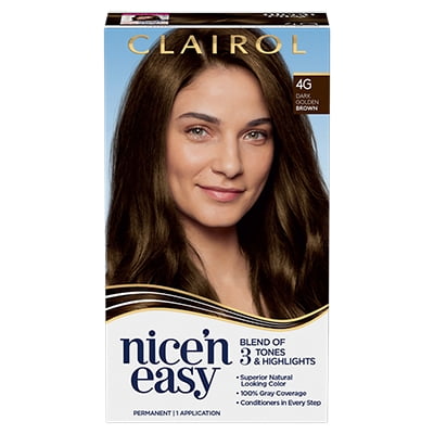 Clairol Nice'n Easy Permanent Hair Color Creme, 4G Dark Golden Brown, 1  Application, Hair Dye 