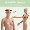 thumbnail image 5 of FDW 16" x 12" x 69" Polypropylene Adjustable Mannequin with Rotating Head & Arms, 5 of 7