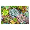 thumbnail image 3 of Jigsaw Puzzles 1000 Pieces For Adults, Succulent Plants Puzzles For Adults 1000 Pieces Unique Shape Pieces Family Games Puzzle, 3 of 5