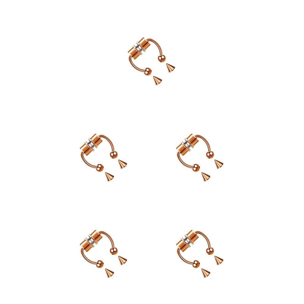 Qarigey 5 pares de anillos de acero inoxidable para la nariz que no perforan el segmento Tragus Faux Trend Body Jewelry Hoop Herradura Type2 NO2