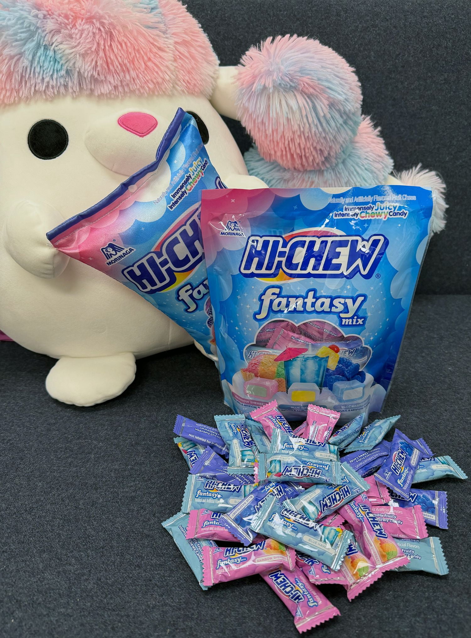 HI-CHEW Stand up Pouch Fantasy Mix Chewy Candy 6.6 oz