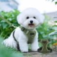 thumbnail image 1 of Arnés reflectante para perros y gatos | Diseño de seguridad de 5 puntos | Chaleco de malla transpirable para mascotas pequeñas y medianas | Ajustable para paseos nocturnos y uso en exteriores, 1 of 7