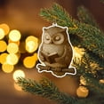 thumbnail image 3 of Darzheoy Book Lover Christmas Ornaments, 2D Acrylic Reading Animals Hanging Decor for Tree, Bookish Gift for Readers and Kids, 3 of 4