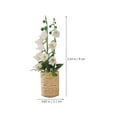thumbnail image 4 of Shisuyan 2 Pcs Mini Plante en Pot Maison de Poupée Mini Jacinthe Bonsaï Faux Modèle de Plante en Pot, 4 of 8
