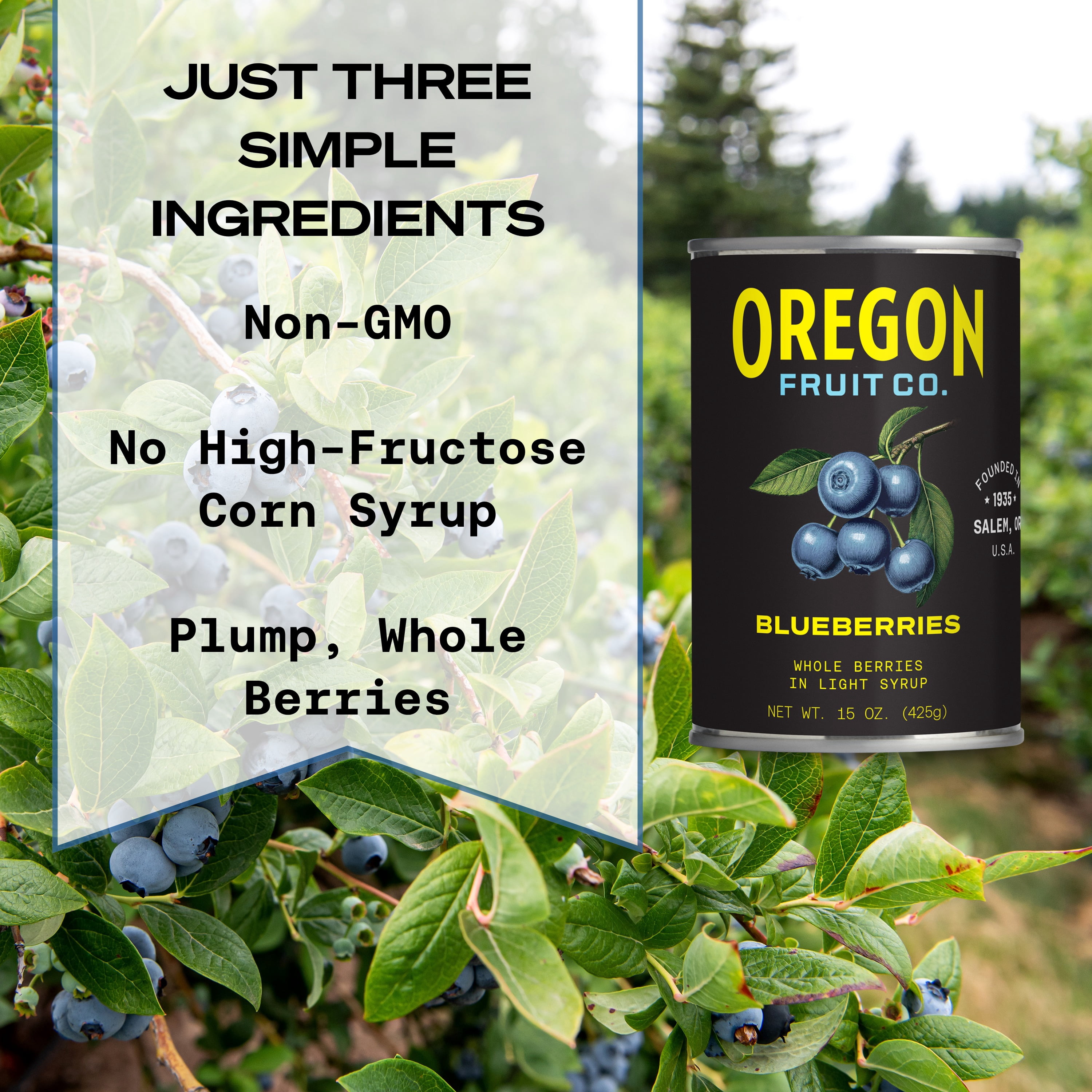 (3 pack) Oregon Fruit Co. Canned Blueberries in Light Syrup, 15 oz Can