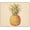 Pineapple 18, variant on Pink Oranges Mousepad 9.5"x7.9"x0.12" Inch NonSlip Summer Fruits Mousepad for Women's Desk Accessories, Ideal Office Decor Gift for Coworker or Boss, Add a Touch of Charm