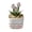 Pink, variant on Handmade Glass Tulip Flower, Artificial Decorative Never Wither for Home Office Desk, No Watering Needed