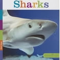 thumbnail image 2 of Seedlings: Sharks (Hardcover), 2 of 3