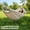 Double XL pure white 118.11in*59.06in, variant on Portable foldable hammock with storage bag. Durable and easy to carry, great for camping, picnics and outdoor relaxation.