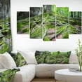 thumbnail image 1 of Forêt de Mousse Profonde en Ukraine - Impression sur Toile Paysage, 1 of 1