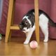 thumbnail image 2 of ZHAOCHENG Juguete automático para perros, pelota giratoria que rebota, pelota giratoria inteligente con luces intermitentes, pelota rodante automática reutilizable para mascotas, gatos, perros, color, 2 of 5