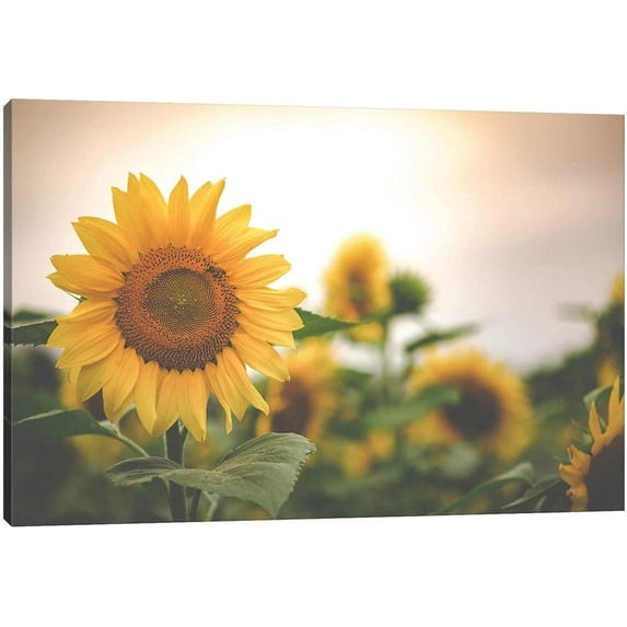 Sunflower Canvas Wall Art Yellow Plant Prints, Sunflower Wall Painting Gifts for Women Bedroom Decor, Modern Flowers Poster Framed Artwork for Bathroom Wall Decor Ready to Hang 12x18"