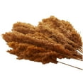 thumbnail image 4 of 35" Grass Dried Plant Natural Foliage Pampas Bouquet with Long Stems, by DecMode, 4 of 8