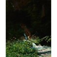 thumbnail image 2 of Stanisław Witkiewicz 12x14 Black Ornate Wood Framed Double Matted Museum Art Print Titled: Source (1896), 2 of 5