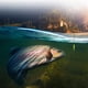 thumbnail image 4 of Juego de combinación de flotador de pesca marcador de tubos de palo de deriva para agua dulce y mar, 4 of 9