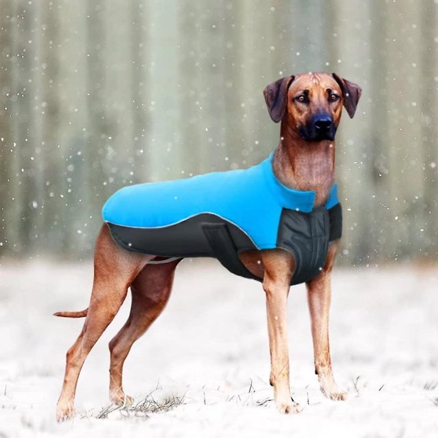 Abrigo de invierno reflectante para perros Chaleco deportivo Chaquetas Ropa de traje de nieve - Azul, cofre: 13.5-15 quot;, longitud de la espalda: 10 quot; Feliz Sencillez