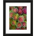thumbnail image 2 of Rambutan for Sale at or Tor Kor Market, Framed Art Print Wall Art by Austin Bush Sold by Art.Com, 2 of 5