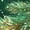 Dark Green_#35, variant on Christmas Womens Shirts Comfortable 3/4 Sleeve Tee V-Neck Christmas Print Blouse for Smart Casual Office Work Everyday Wear Weekend Summer Beach Tops, Dark Green_#35, XXL