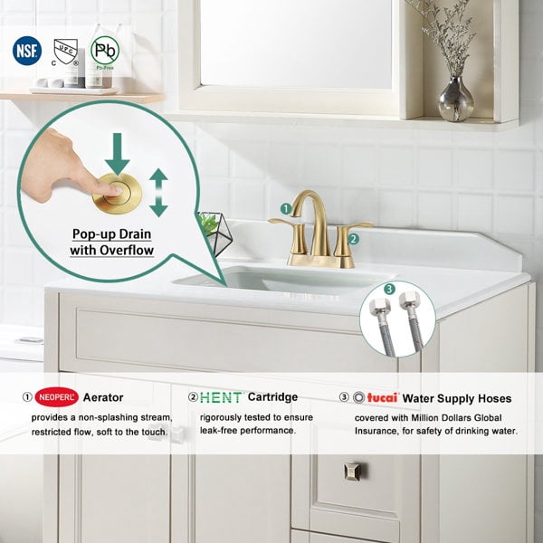 PARLOS Centerset 2-Handle Bathroom Faucet with Drain Assembly