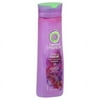 P & G Herbal Essences Totally Twisted Shampoo, 12 oz