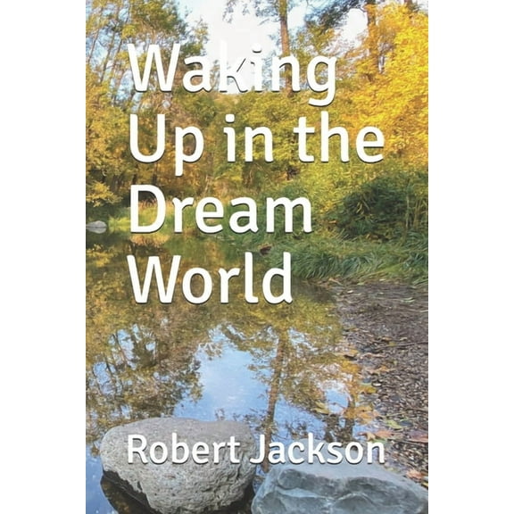 Waking Up in the Dream World, (Paperback)
