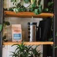 thumbnail image 2 of Local Jubilee Roasting Co Guatemala, Whole Bean Coffee, Medium Roast, 10oz, Naturally Caffeinated, 2 of 5