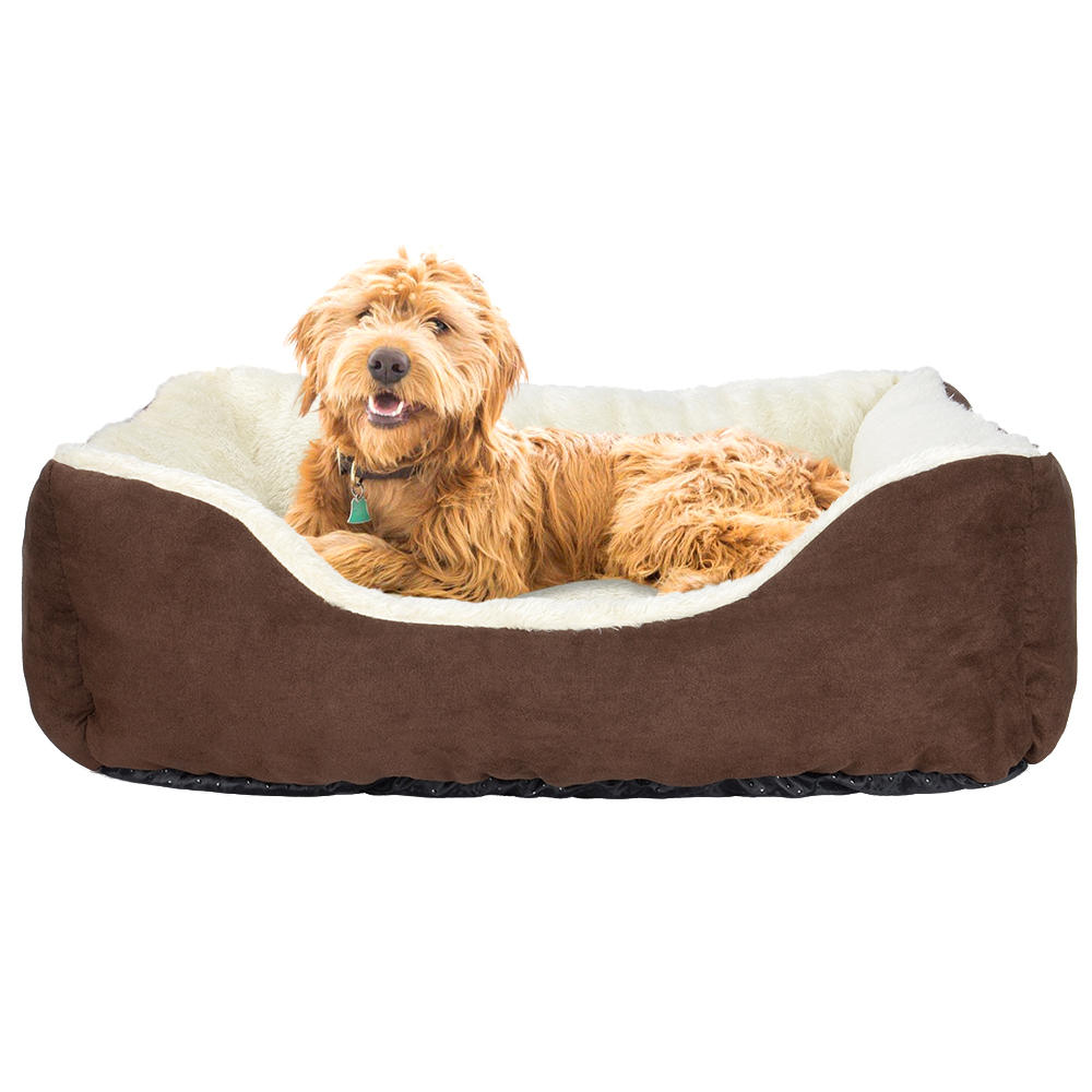 green dog bed