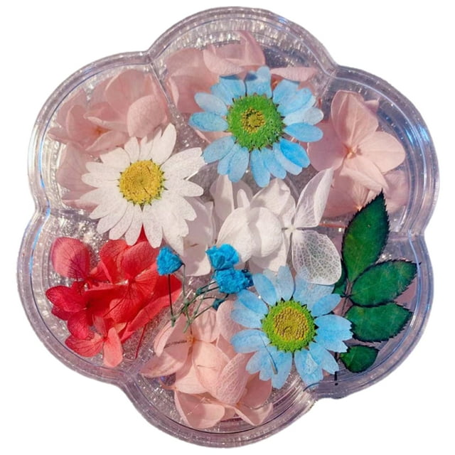 Techinal Fleurs Séchées en Résine Naturelle Embossée à Sec Adaptées pour Bougies Résine Époxy Fabrication de Savon Scrapbooking Diy Art Artisanat