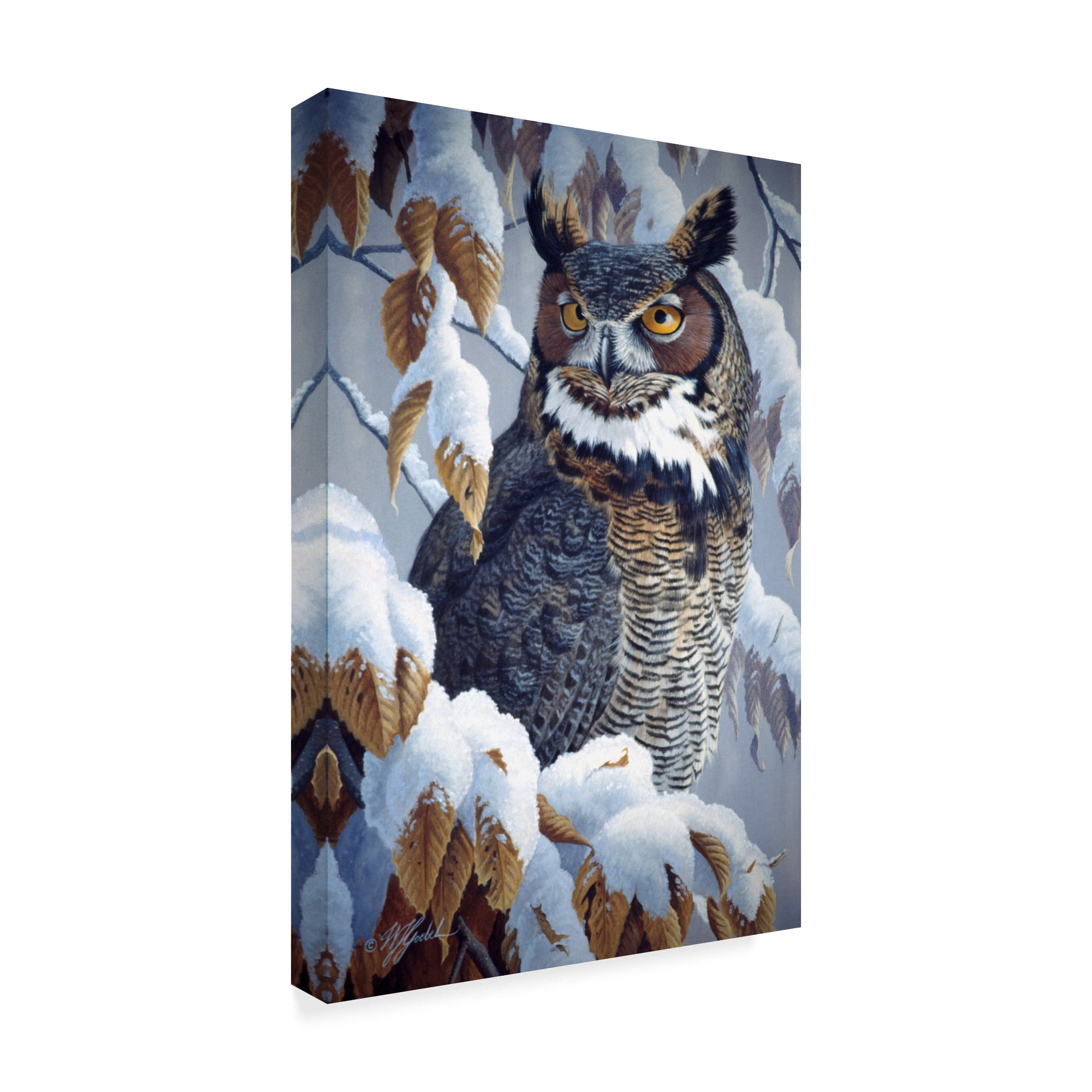 Trademark Fine Art 'Winter Watch Great Horned Owl' Canvas Art by Wilhelm Goebel