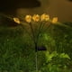 thumbnail image 5 of Fiudx Luces Solares de Flores, Decoración Led Colorida para Jardín, Diseño de Tallo Flexible, Iluminación Nocturna Automática, Fiestas Al Aire Libre, Bodas, Ambiente Único, Resistencia a La Intemperi, 5 of 6