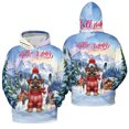 thumbnail image 3 of Hello Welcome Winter The Ski Brussels Griffon Snowy Day All Over Print 3D Hoodie Unisex Merch Hoodies Griff Dog Lover - 13013, 3 of 6