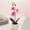 ZZ Pink, variant on Zhi Faux Phalaenopsis Orchid Potted Plants Assorted Colors, Ideal for Tabletop And Wedding Decor, Realistic Floral Prop For Photography