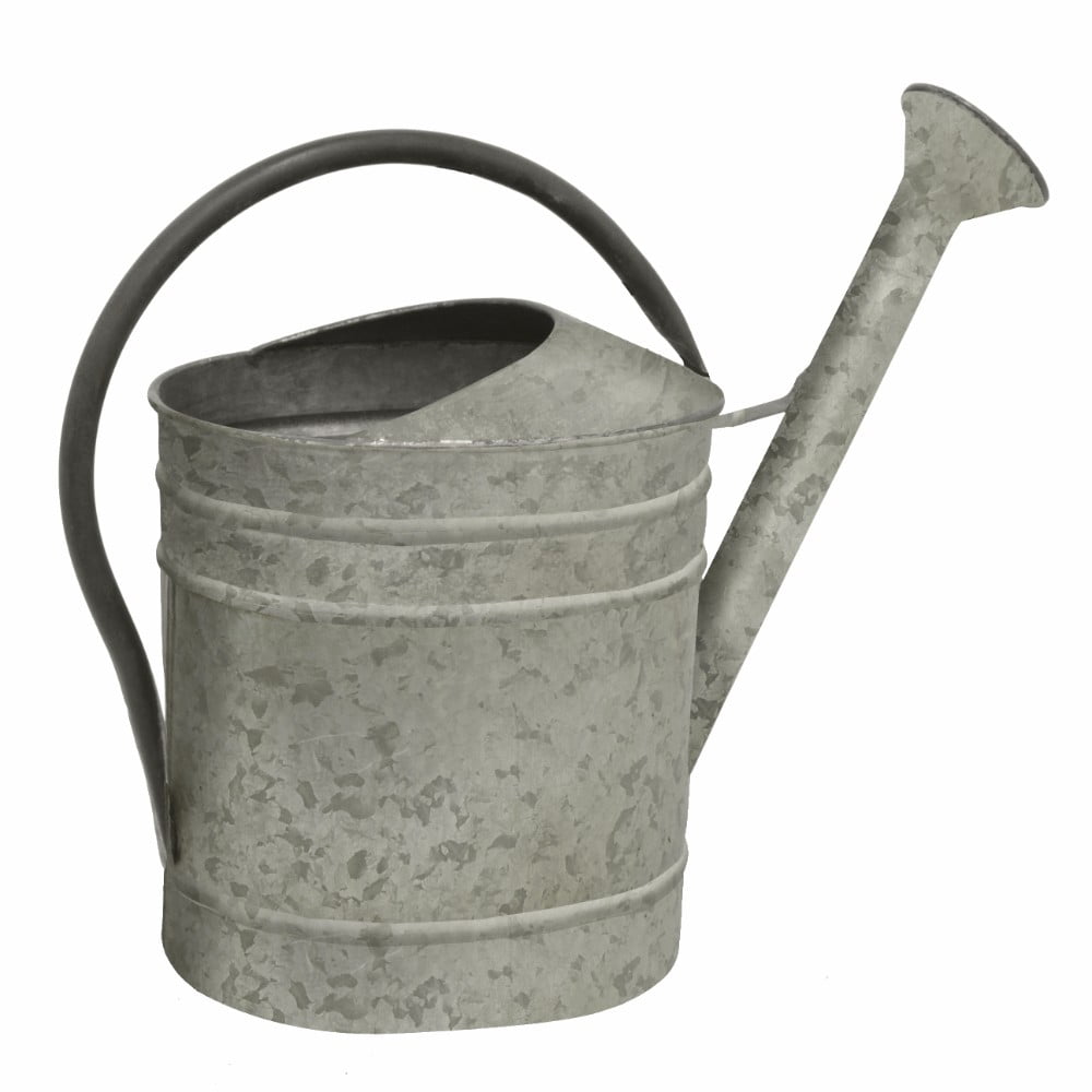 Galvanized Metal Watering Can
