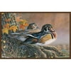Custom Printed Rugs WOOD DUCKS Wood Ducks Wildlife Rug