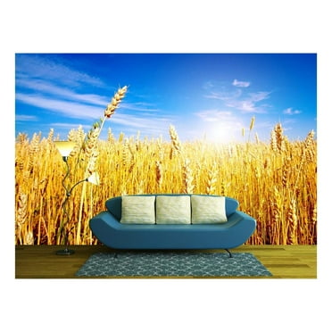 wall26 - Golden Wheat Field with Blue Sky in Background - Removable Wall Mural | Self-Adhesive Large Wallpaper - 66x96 inches