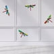 thumbnail image 3 of Paquete de 4 coloridas libélus decoración de pared del jardín Zulema Arte de pared de libélula, 3 of 8