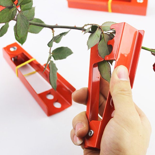 Flmtop Pince à Roses Poignée Ergonomique Outil de Découpage pour Arrangement Floral Feuilles en Fer Épine Arbre