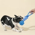 thumbnail image 3 of Oodles Durable Squiggle Grip Rope Dog Toy Set, Blue and Green, One Size, 3 of 9
