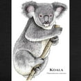 thumbnail image 3 of CafePress - Koala Women's Deluxe T Shirt - Womens Tri-blend T-Shirt, 3 of 4