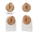 thumbnail image 4 of facefd Silicone Ear Model Simulation Piercing Tool Ear Display Three-Dimensional for Teaching Instruction Acupuncture Right Ear/Rack, 4 of 9