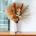 thumbnail image 6 of Dried Floral Arrangement with Pampas Grass and Textured Accents - Beige, 6 of 7