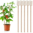 thumbnail image 4 of sunsanly 1/8Pcs 13.5-inch Electroculture Plant Stakes High-Yield Clockwise Winding Easy to Install Multifunctional Long Copper Garden Stakes, 4 of 8