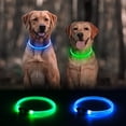 thumbnail image 2 of Collar para perro Kpuplol con luz LED, recargable por USB, resistente al agua, 2 of 7